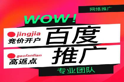 竞价托管服务对比：不同平台的优劣分析